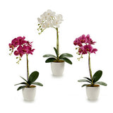 Vaso Orchid Bianca Plastica (51 cm)