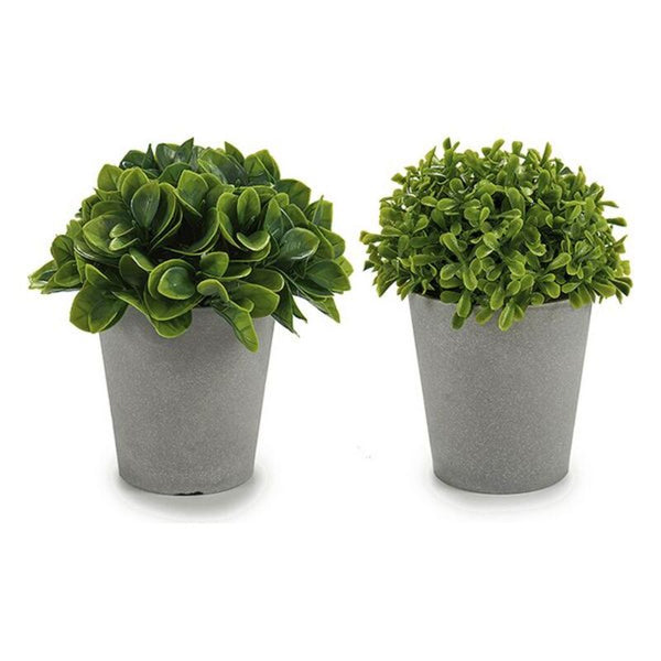 Planta Decorativa ‎S3602948 Plástico (13 x 17 x 13 cm) (13 x 15 x 13	 cm)