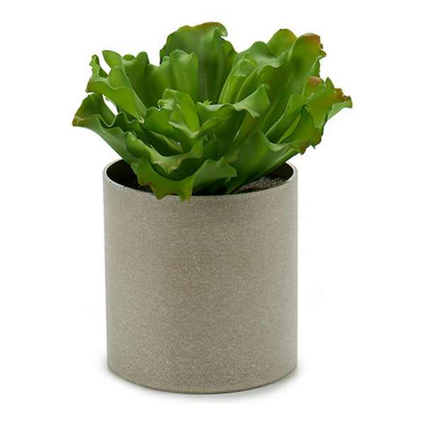 Planta Decorativa (20 x 25 x 20	 cm)