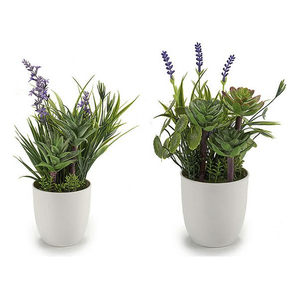 Pianta Decorativa Viola Plastica (15 x 27 x 15 cm) - zannishop