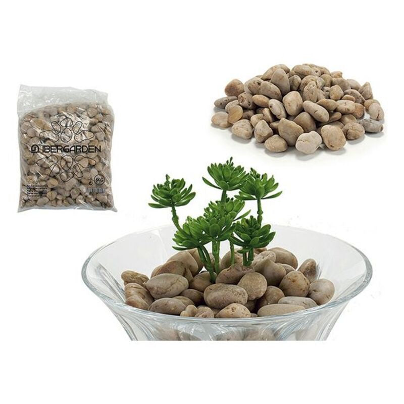 Set de Piedras Superficie pulida (5 kg)