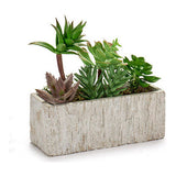 Pianta Decorativa Grigio Verde Ceramica Plastica (9 x 20 x 21,5 cm) - zannishop