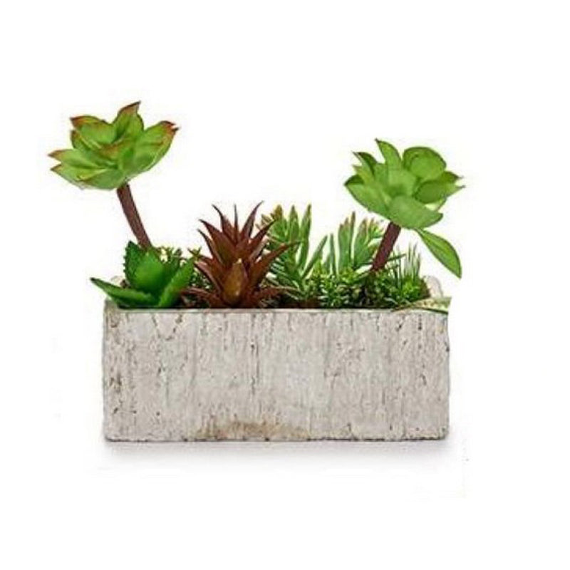 Pianta Decorativa Grigio Verde Ceramica Plastica (9 x 20 x 21,5 cm) - zannishop