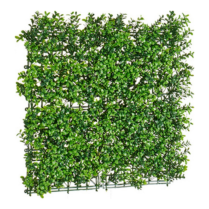 Pianta Decorativa Verde Plastica (50 x 5 x 50 cm) - zannishop