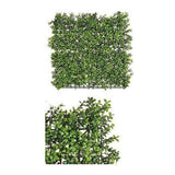 Pianta Decorativa Verde Plastica (50 x 5 x 50 cm) - zannishop