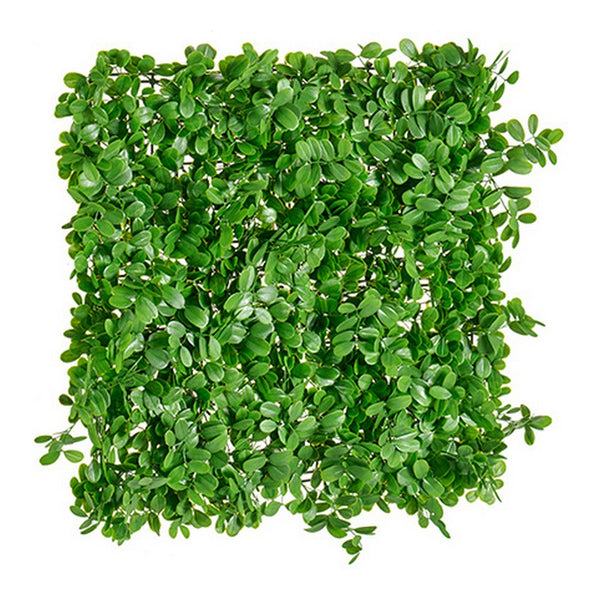 Pianta Decorativa Plastica Verde (50 x 5 x 50 cm) - zannishop