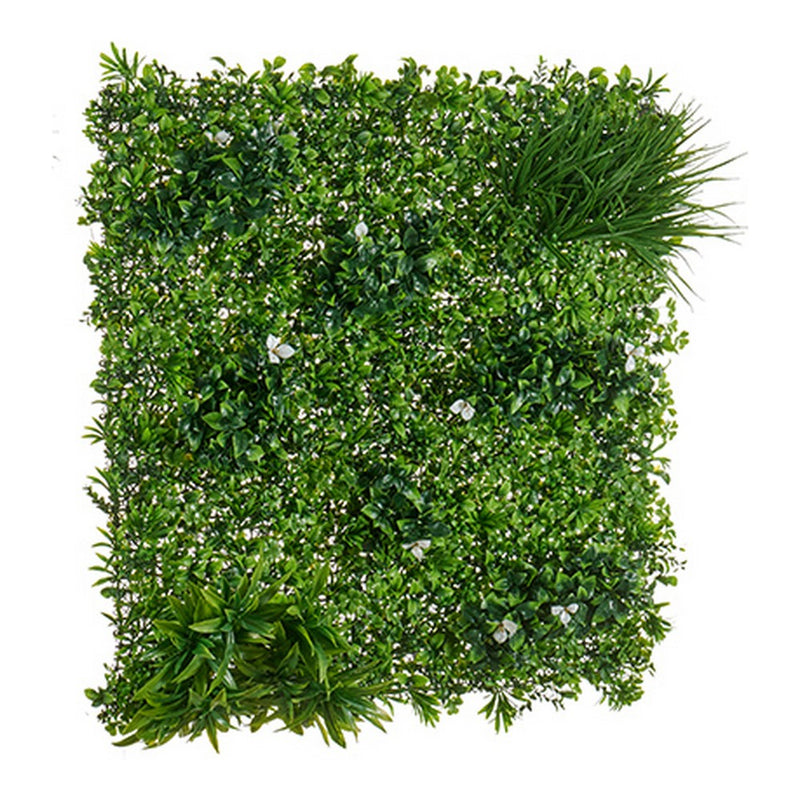 Pianta Decorativa Verde Plastica (100 x 8 x 100 cm) - zannishop