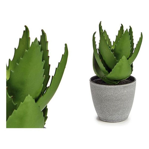 Pianta Decorativa Aloe Vera Plastica (14 x 23 x 14 cm) - zannishop