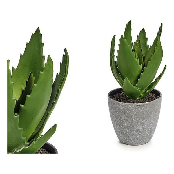 Pianta Decorativa Aloe Vera Plastica (14 x 20 x 14 cm) - zannishop