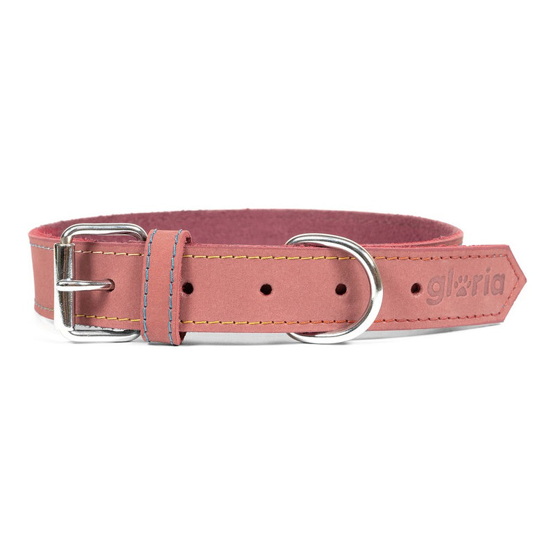 Collare per Cani Gloria Oasis Rosa (60 x 3 cm)