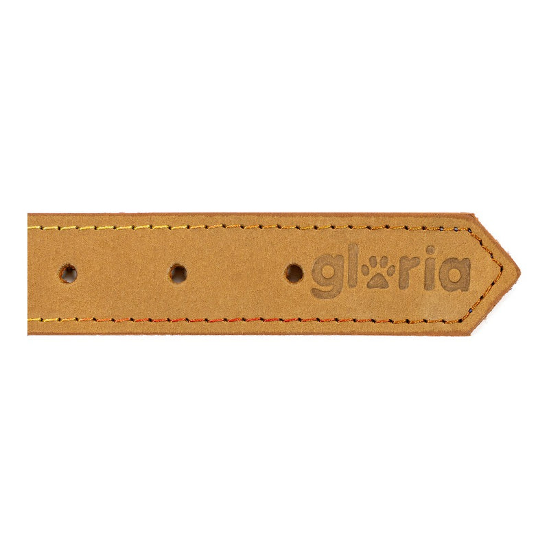 Collare per Cani Gloria Oasis Giallo (65 x 3 cm)