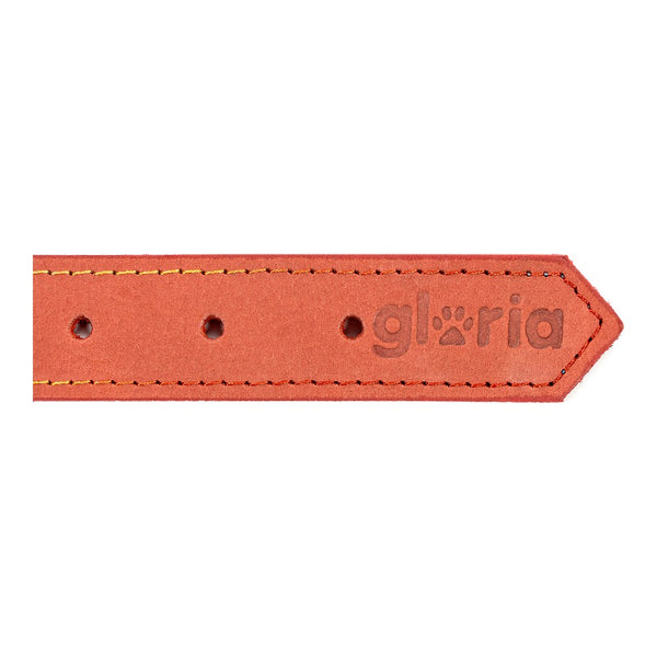 Collare per Cani Gloria Oasis Rosso (65 x 3 cm)