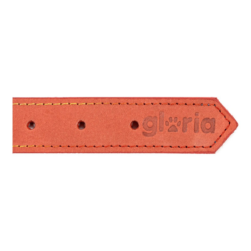 Collare per Cani Gloria Oasis Rosso (65 x 3 cm)