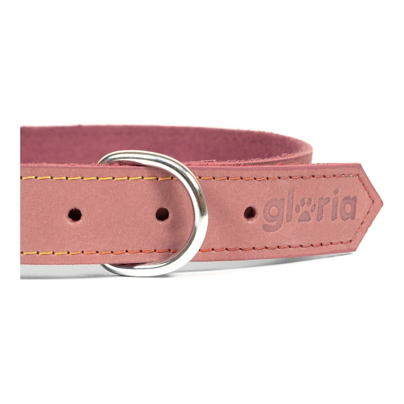 Collare per Cani Gloria Oasis Rosa (65 x 3 cm)