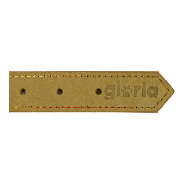 Collare per Cani Gloria Oasis Verde (65 x 3 cm)