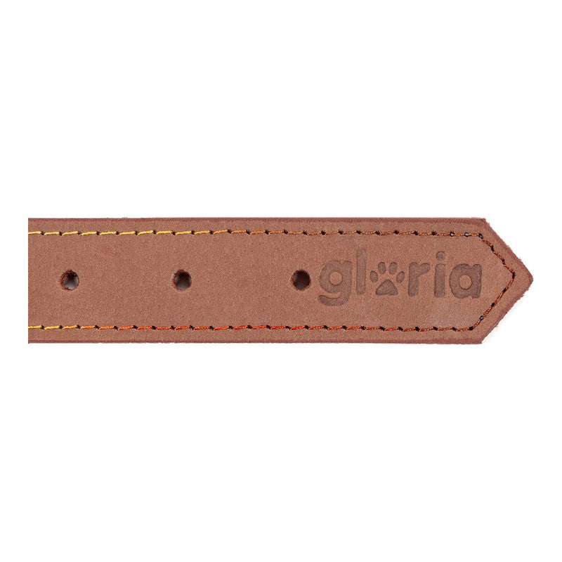 Collare per Cani Gloria Oasis Marrone (70 x 3 cm)