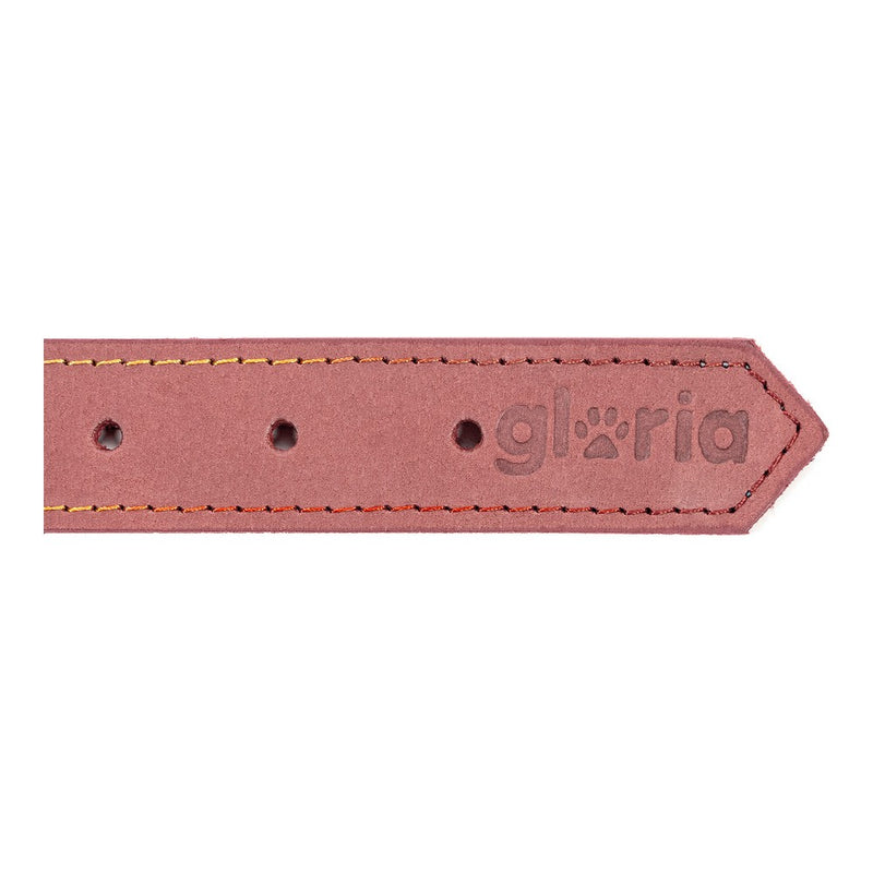 Collare per Cani Gloria Oasis Rosa (70 x 3 cm)