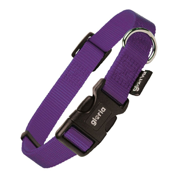 Collare per Cani Gloria Viola Taglia S (27-37 cm)