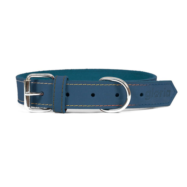 Collare per Cani Gloria Oasis Azzurro (1,2 x 35 cm)