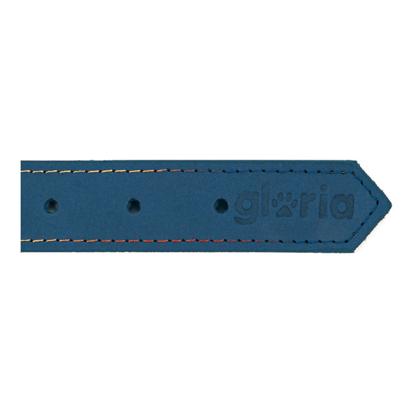 Collare per Cani Gloria Oasis Azzurro (1,2 x 35 cm)