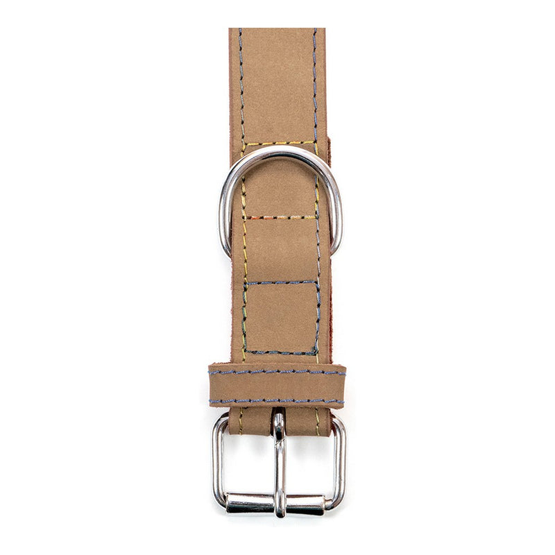 Collare per Cani Gloria Oasis Beige (1,2 x 35 cm)