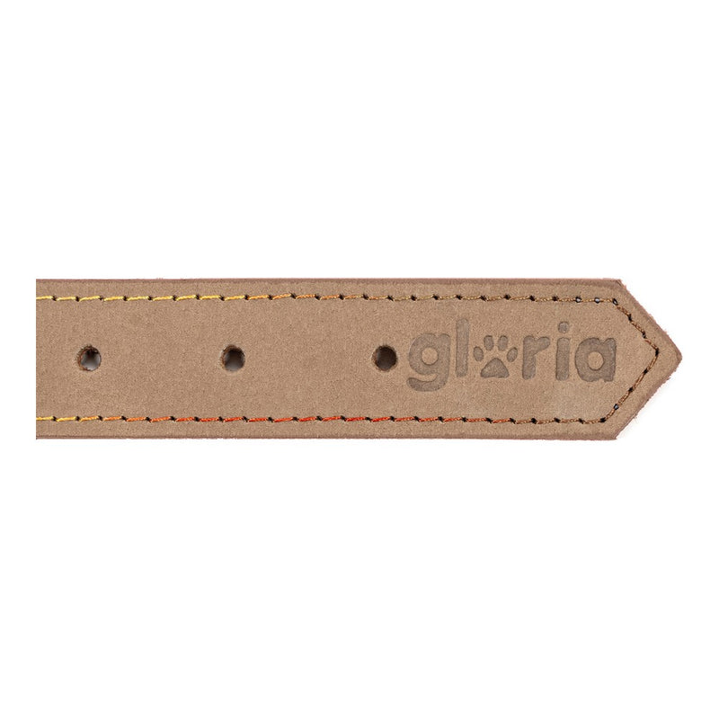 Collare per Cani Gloria Oasis Beige (1,2 x 35 cm)