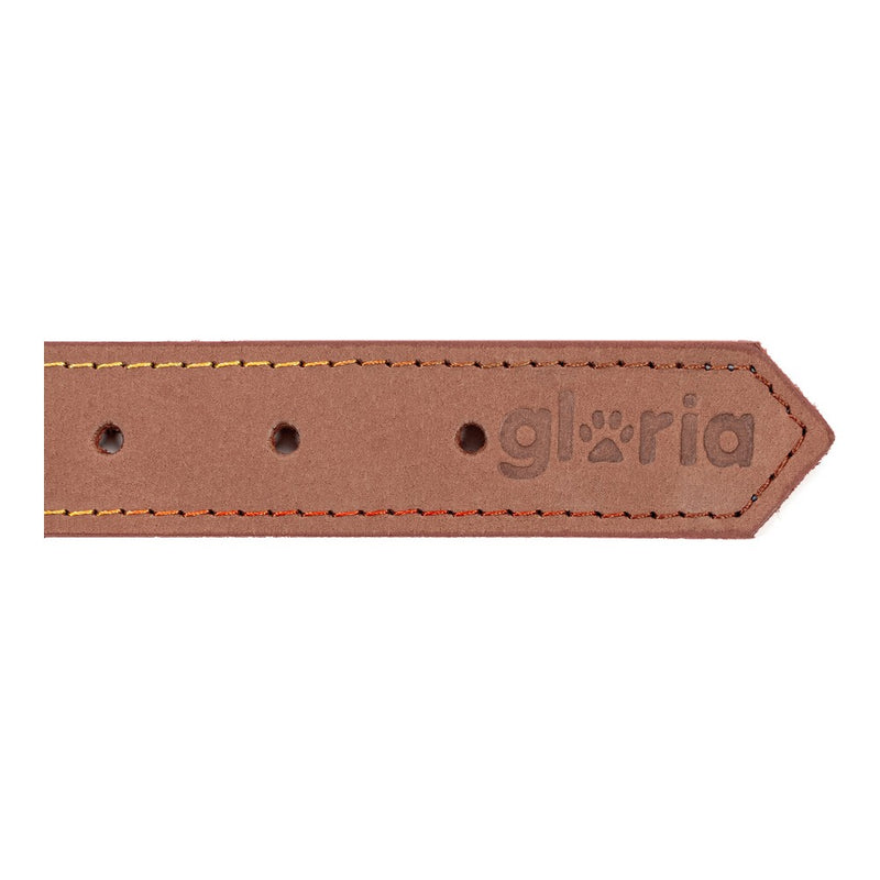 Collare per Cani Gloria Oasis Marrone (1,2 x 35 cm)