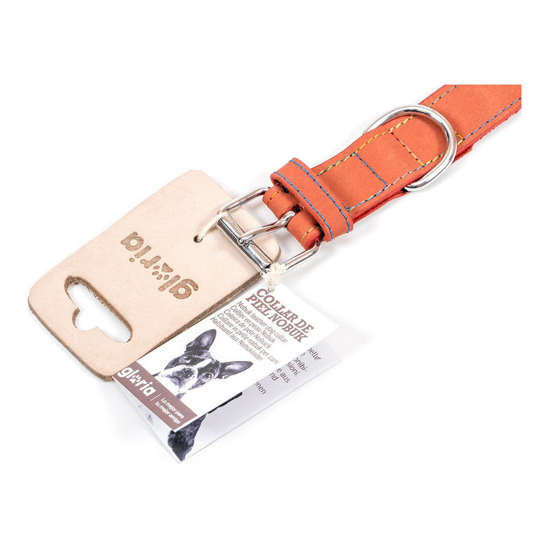 Collare per Cani Gloria Oasis Rosso (35 x 1,2 cm)