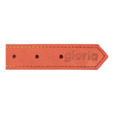 Collare per Cani Gloria Oasis Rosso (35 x 1,2 cm)