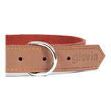 Collare per Cani Gloria Oasis Marrone (40 x 1,5 cm)