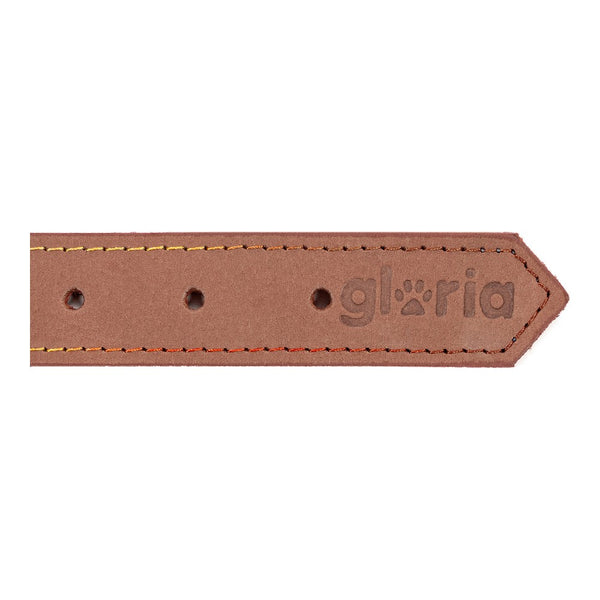 Collare per Cani Gloria Oasis Marrone (40 x 1,5 cm)