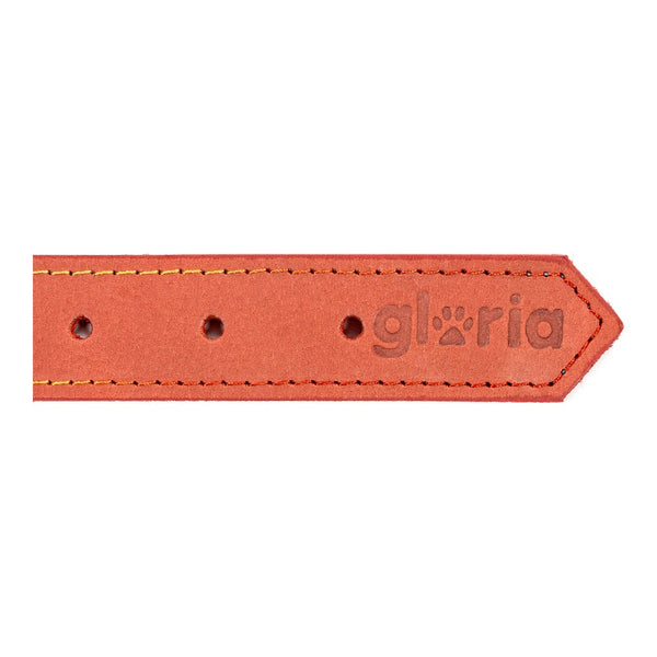 Collare per Cani Gloria Oasis Rosso (1,5 x 40 cm)