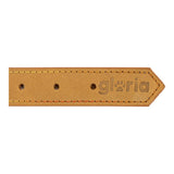 Collare per Cani Gloria Oasis Giallo (45 x 1,8 cm)