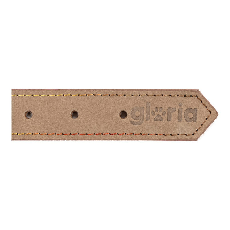 Collare per Cani Gloria Oasis Bianco (45 x 1,8 cm)