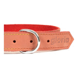 Collare per Cani Gloria Oasis Rosso (45 x 1,8 cm)