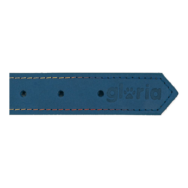 Collare per Cani Gloria Oasis Azzurro (50 x 2,1 cm)