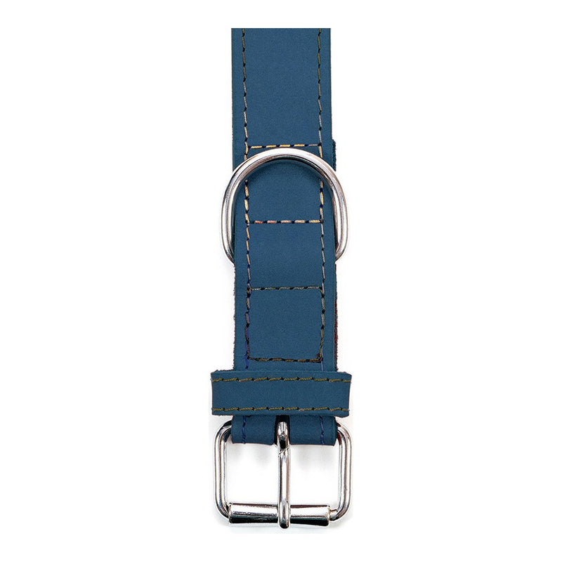 Collare per Cani Gloria Oasis Azzurro (55 x 2,5 cm)