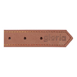 Collare per Cani Gloria Oasis Marrone (55 x 2,5 cm)