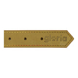 Collare per Cani Gloria Oasis Verde (55 x 2,5 cm)