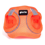 Imbracatura per Cani Gloria Air Mesh Trek Star Regolabile Arancio Taglia XXXS (18-20 cm)