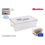 Organizador Multiusos Quttin Con Tapa (32,5 x 20 x 10,5 cm)