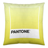 Fodera per cuscino Ombre C Reversibile (50 x 50 cm) - zannishop