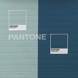 Pantone zwei Farbdecke