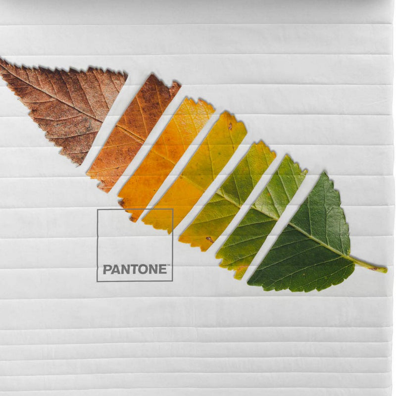 Blatt Pantone Quilt