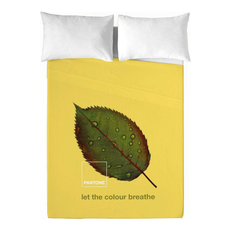 Set di Lenzuola Nature Pantone