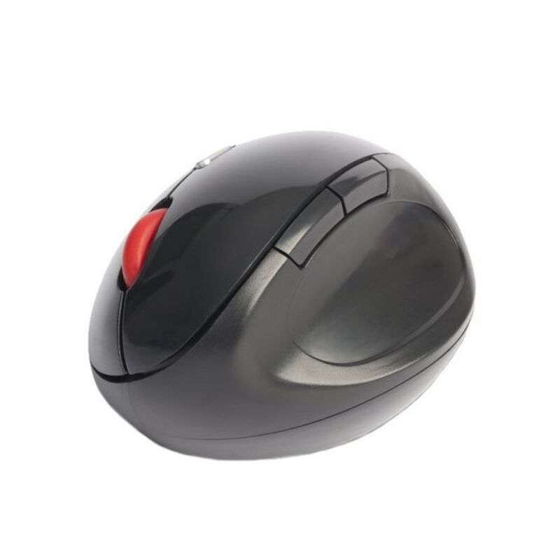 Mouse senza Fili NGS EVOERGO Plug and play Nero