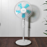 Ventilatore a Piantana Cecotec 50W (Ø 40 cm) (Refurbished A) - zannishop