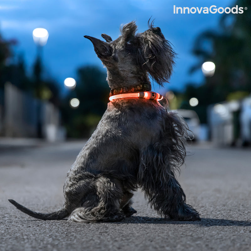 LED-Halsband für Haustiere Petlux InnovaGoods