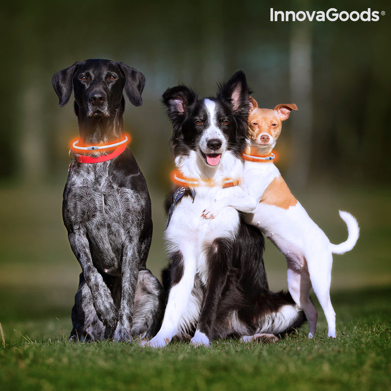 LED-Halsband für Haustiere Petlux InnovaGoods