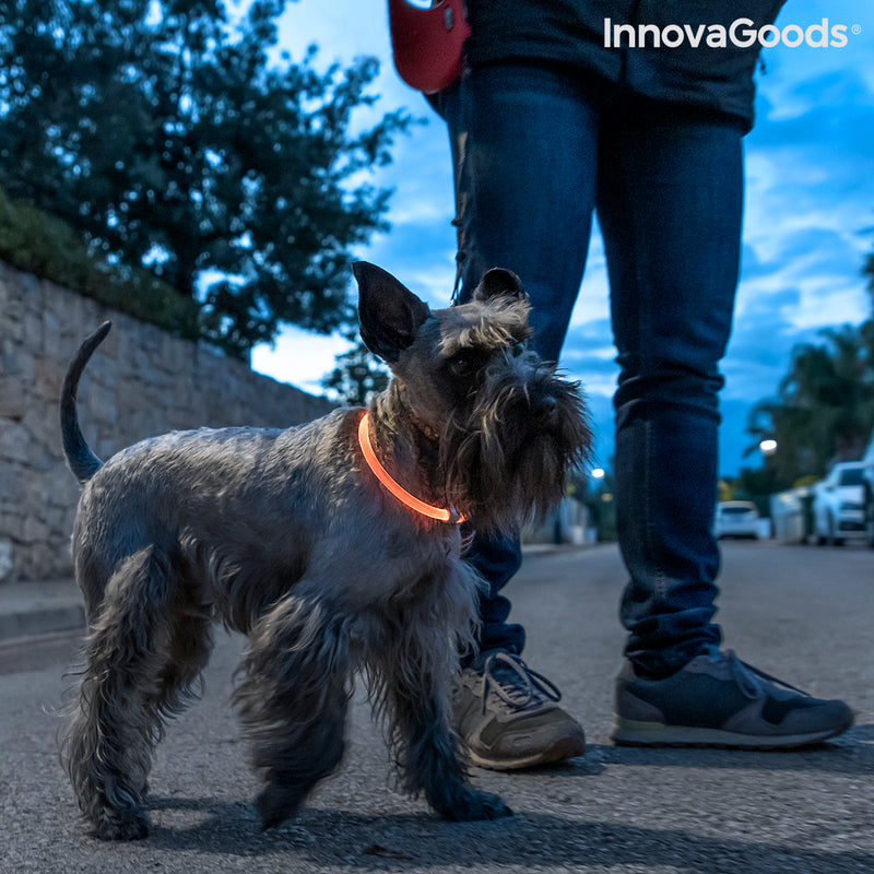 LED-Halsband für Haustiere Petlux InnovaGoods